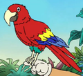 Polly.png