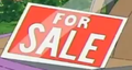 Car For Sale Sign.png