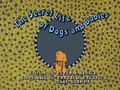 The Secret Life of Dogs and Babies Title Card.png