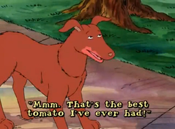 Best tomato dog.png