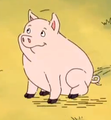 Sally pig.PNG