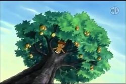 Uaica in the Mango tree.png