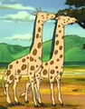 Giraffi.png