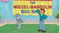 Wiegel-Bandolik Dog Show.jpg