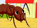 Ants 1.png