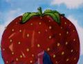 How the Cookie Crumbles - Huge Strawberry.jpg