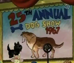1967dogshow.png
