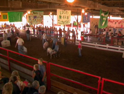 Starke County Fair.png
