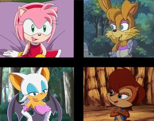 Amy Rose, Bunnie Rabbot, Rouge the Bat, and Sally Acorn.jpg