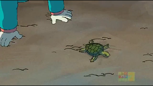 Sea Turtle.png