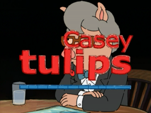 Casey Tulips show.png